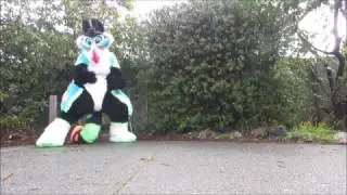 Fursuit Freestyle: Hurricane