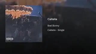 Callaita - Bad Bunny (Audio Official Con Censura )