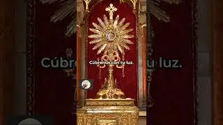 🌟 Oraci&oacute;n para la PROTECCI&Oacute;N DIVINA de DIOS 🕊️  #horasanta #santisimo #dios #oracion #pazinterior