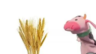 Free to Use Puppet Show - Wheat Sneeze
