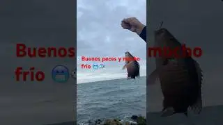 buena captura#pesca #fishingchannel