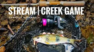 VLOG 55 - Sebarau @ Hampala #3/2025 [ ABU GARCIA CARDINAL C3 ]