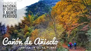 Cañon de Añisclo hasta la Selva Plana - Corresendes XRS