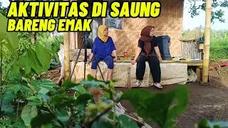 AKTIVITAS DI SAUNG BARENG EMAK