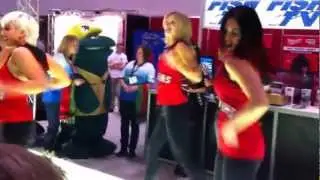 Raptors Dancepak