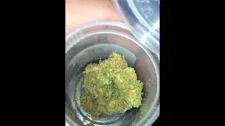 Green crack(indica)