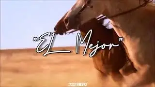 Tina Turner - The Best (Sub Español)