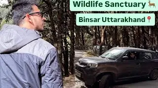 Wildlife Sanctuary Binsar Uttarakhand📍 on of the best experience of my life #wildlifesanctury🦌🐆⛰️🕊️