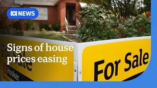 Australian housing market shows first signs of easing since 2022 | ABC NEWS