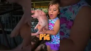 What Do Animals Say? 🐶🐷 Learn Animal Sounds! #shorts #shortsfeed