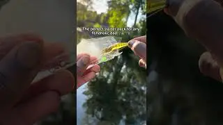 Fishaholics will go insane for this&hellip; 😱 #christmas #fishing #fishinggear #fishinglife #lures