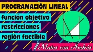 Programación Lineal: Función Objetivo, Restricciones y Región Factible