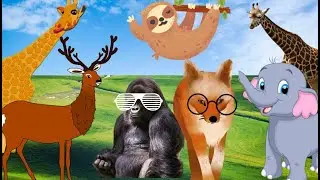 🦍Wild animals-TOP OF THE MOST BEAUTIFUL AND RARE ANIMAL SOUNDS 4K 2023