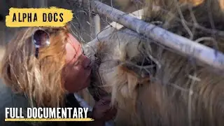 Wildfire at the Enclosures! 60 Lions in Grave Danger | Full Documentary