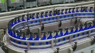 Efficiency Unleashed: High-Speed Bottling Line Overview | Royal Chemical