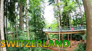 A beautiful Treetop Walkway - Baumwipfelpfad Neckertal Switzerland