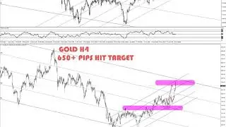 GOLD  Live Forex Signals 24/7 | Best Forex Trading Intraday Strategies