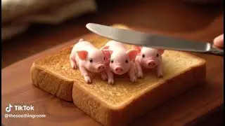 Toast Spread Pets AI ASMR #asmr #trending #asmrvideo #ai #satisfying #asmrcommunity #food