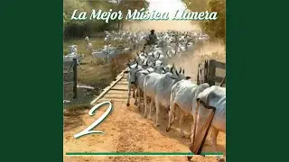 Consejo A Un Hermano