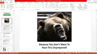 Everything You Need to Know About Bear Spray