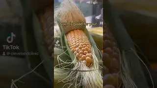 🌽🌽 Corn is good for you!