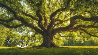 🌿 Gentle Piano & Morning Birds for Focus, Sleep & Relaxation | Eli Piano