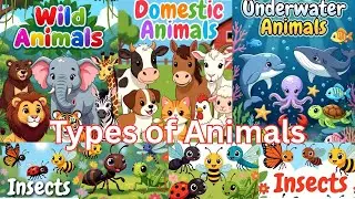 Animals for Kids - Learn about the Types of Animals #wildanimals #domesticanimals #nilusclassroom