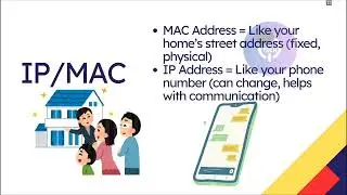IP Address vs MAC Address | Explained with Examples