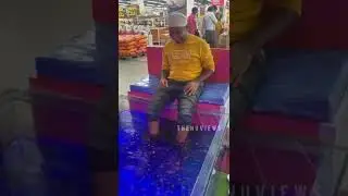 Fish Spa |Fish Pedicure be Like 🤩| Fish Massage | Thenu views | #shorts
