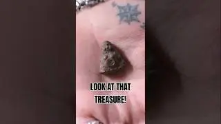 We Found Buried Ancient Treasure!