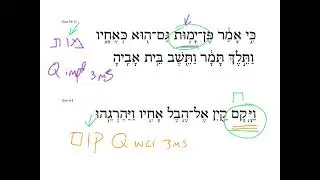 29 Weak Verb Forms Hollow (II-yod/vav) HebrewDaybyDay