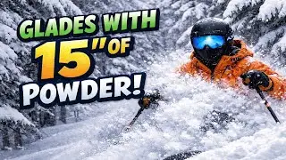 Glades with 15