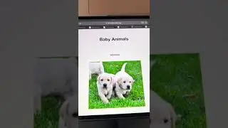 How to use a Step-by-Step to read iPad books