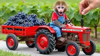 Farmers market and sell #travel  #trending   #game  #vlog #gta