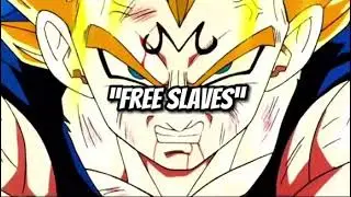 Free Slaves vs Free Slaves