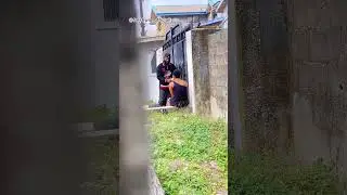 ВЫ УВЕРЕНЫ, ЧТО ОНА ВЕРНАЯ 🥹💔🤦‍♂️#freshwin #viralvideo #fypシ゚viral #prank #pranks #prankvideo