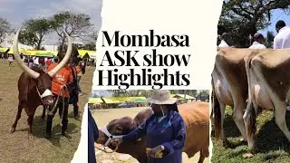 Biggest lessons and highlights at Mombasa international ASK show 2025 #bridgingknowledgegap #tips #