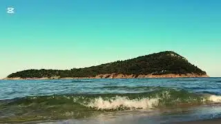 The Island