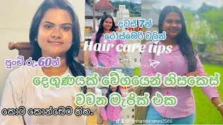 හැමෝම හොයන දවස්7න් කොන්ඩේ වවන රෝස්මෙරි make rosemary oil stop hair fall and reglow thinning hair