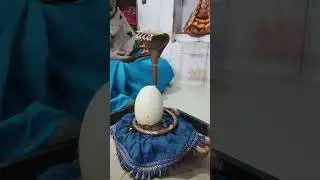 Har har Mahadev #shortvideo #youtubeshorts #Viral #trending #jamalpur