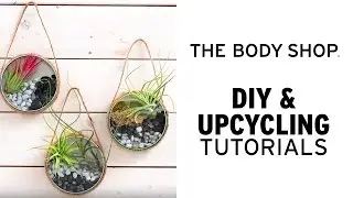 How To: Make Your Own Upcycled Air Plant Terrarium &ndash; The Body Shop