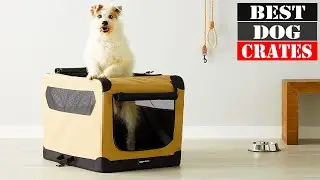 The 5 Best Dog Crates 2023