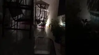 الجمعية الشهرية بين الفقر والثراء _ مريم الدخيل