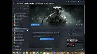 pr&eacute;sentation de ma biblioth&egrave;que steam 1er partie