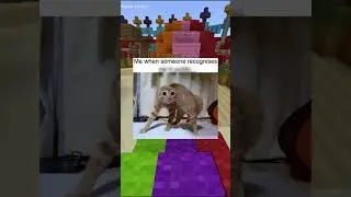 Мемы про кошек! #шорты