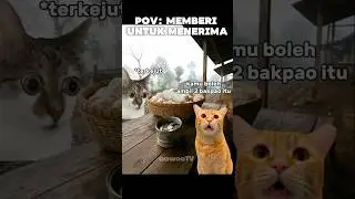 Bikin 😭.. #kucing #sad #meme #memekucing #cat #bome #jokes #sadstory #sedih