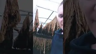 6 августа 2024 г.