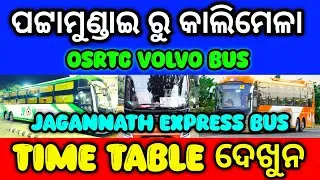 Pattamundai To Kalimela#jagannathexpress #bus #osrtc #volvobus #bustimetable #bustime #bus #travel