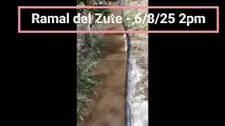 Vertidos a la Acequia - Zute - 6 agosto