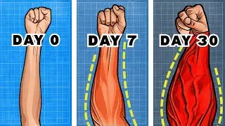 Top Exercises For THICK & VEINY Forearms
